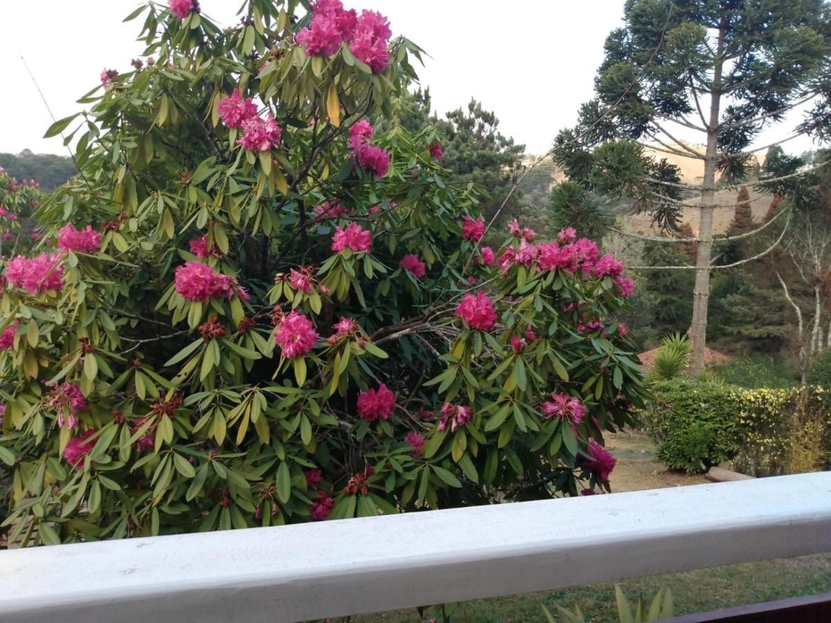 Campos do JordãoCasa Flor De Liz别墅 外观 照片